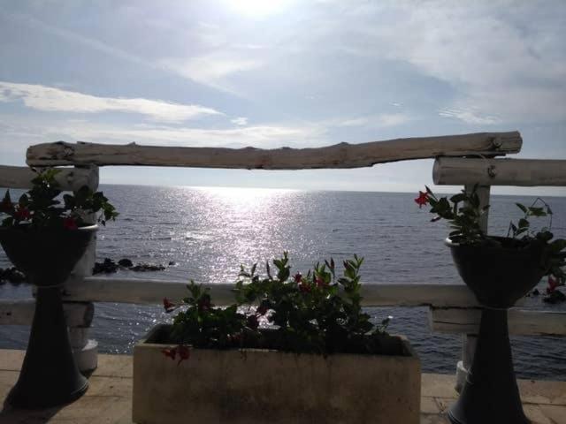 Al Chiaro Di Luna Resort Borgo Pantano Экстерьер фото